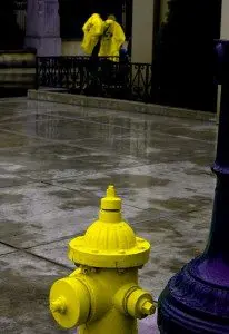 Foto de Paco Aranda.