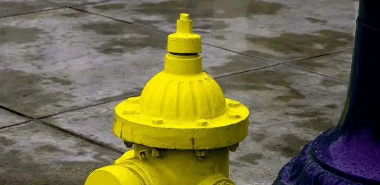 Preguntas a vuela pluma 1