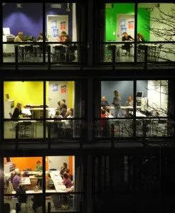 Working hard at mecus worpdress