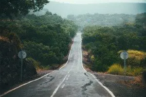 El-camino-por-recoger-victoriano-izquierdo Foto de Victoriano Izquierdo